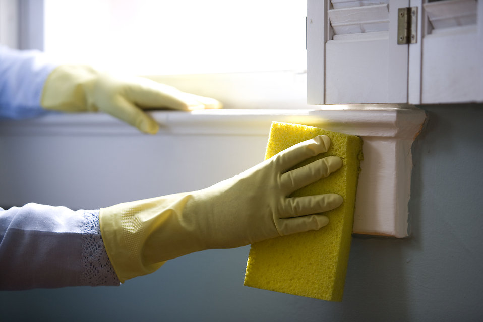 removing mold in your home